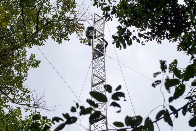 Instituto constrói primeira torre da Amazônia para medir gases do efeito estufa em florestas de várzea