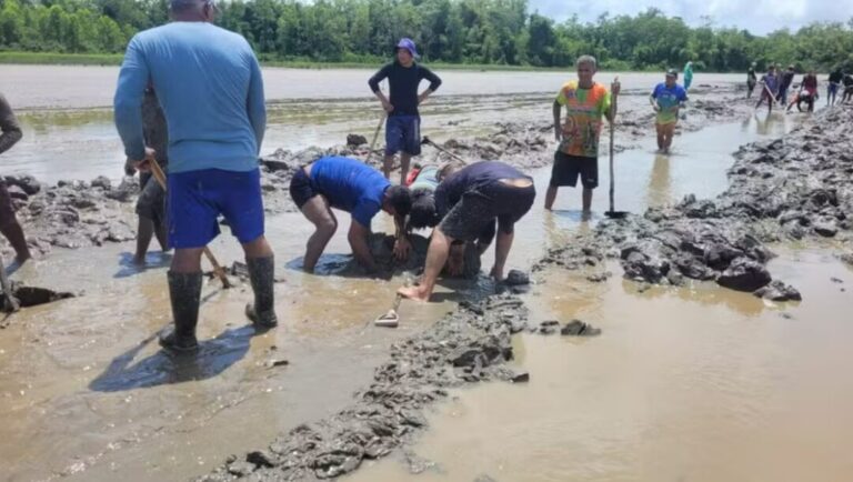 Alunos de comunidade que sofre com seca no Amapá caminham cerca de 1 hora para chegar à escola