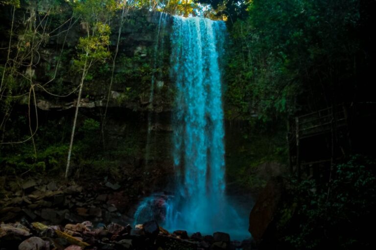 Rondônia assume liderança regional das Rotas Amazônicas Integradas pelo próximo biênio