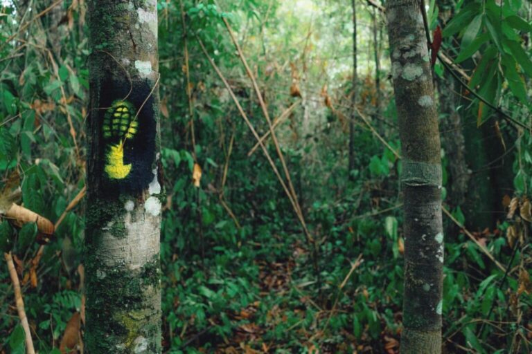 ‘Vem pro Acre’: série de vídeos mostra destinos turísticos no estado