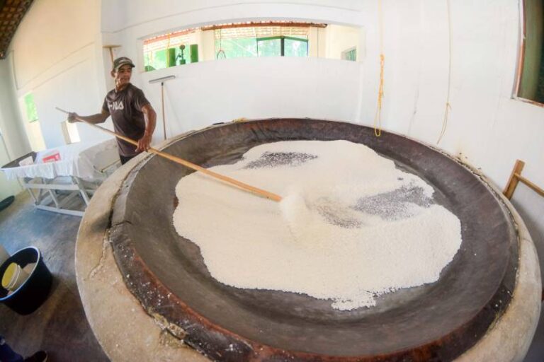 Farinha de cooperativa registrada no Pará amplia mercado para itens regionais