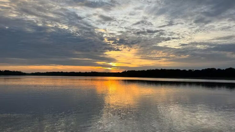 Entenda lei aprovada pelo Governo Federal que altera limites de reservas extrativistas em Rondônia