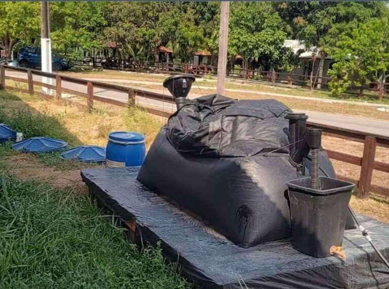 Miniusina com caroços de açaí pode gerar energia para até quatro pessoas de baixa renda do Amapá