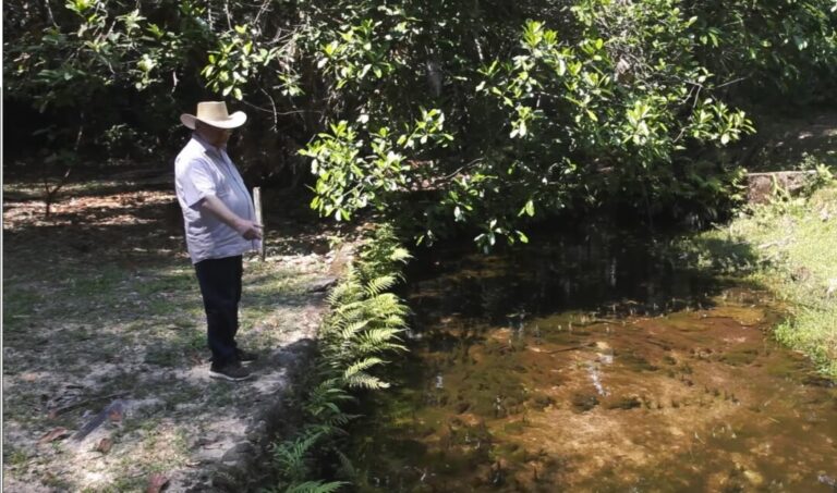 Especialista explica como as mudanças climáticas afetam os peixes da Amazônia