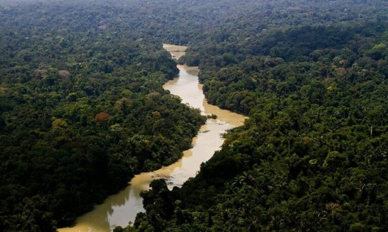 MMA e BNDES lançam os primeiros editais para restauração da Amazônia