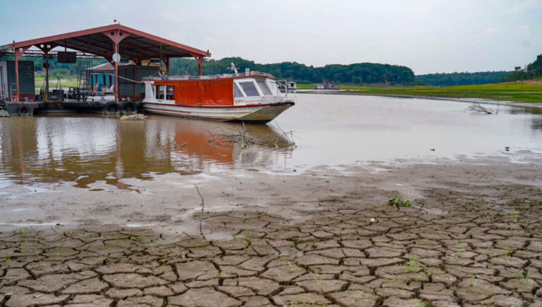 Esgotamento dos aquíferos ameaça florestas e rios na Amazônia