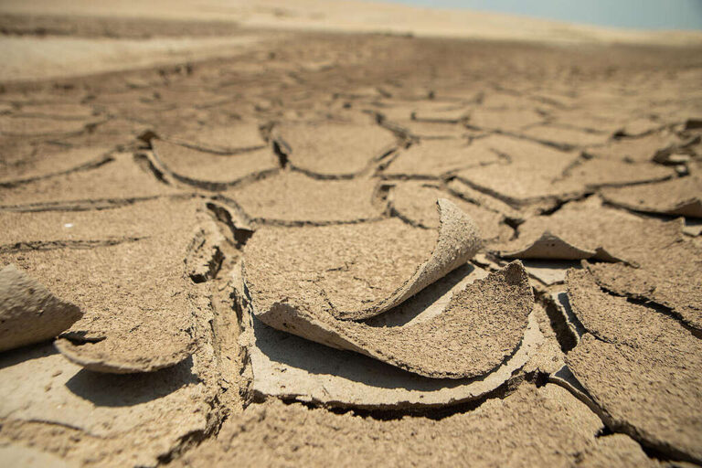 Seca recorde deixa cicatrizes no coração dos amazonenses por dois anos consecutivos