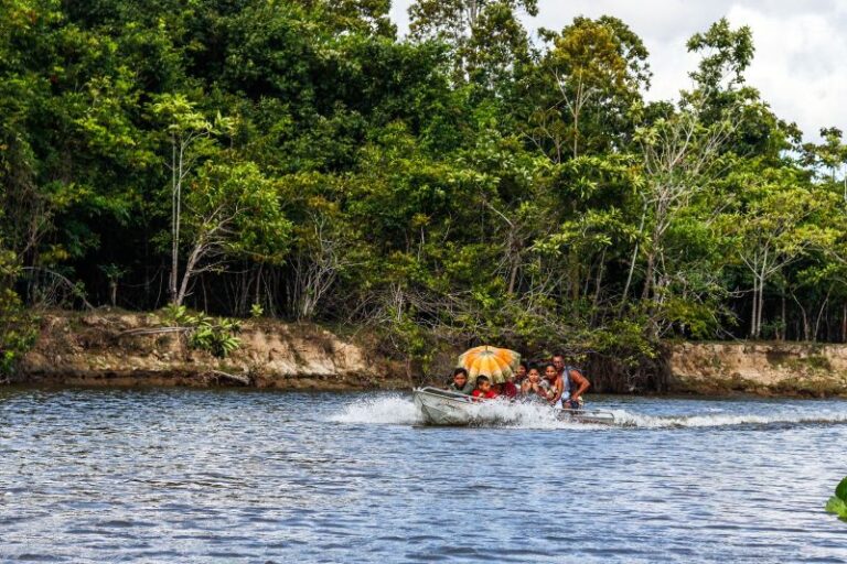 Amapá recebe ‘Encontros Amazônicos Pré-COP30’: o que a Amazônia precisa?