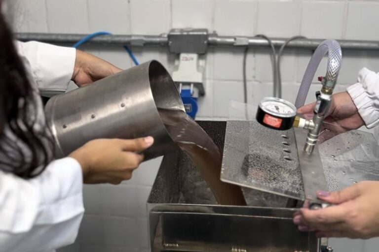 Pará vai investir mais de R$ 30 milhões em projetos para economia limpa até 2026