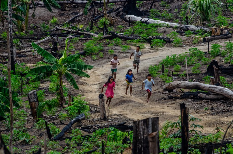 Preservação da Terra Indígena Munduruku protege os povos indígenas e a floresta