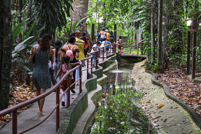 Tá de férias? Que tal conhecer 7 locais que proporcionam encontros com a natureza na Amazônia?
