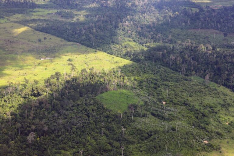 União deve esclarecer ao STF pontos de plano de proteção da Amazônia