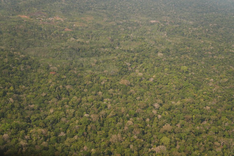 Governo Federal nega transferência de terras indígenas para iniciativa privada