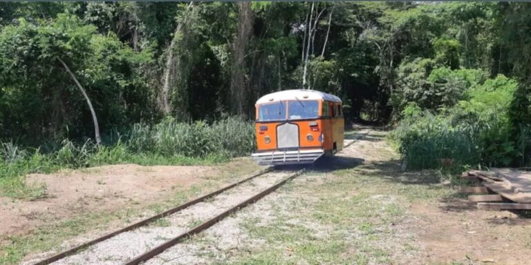 Litorina retoma passeios em Porto Velho em 2025; relembre a história