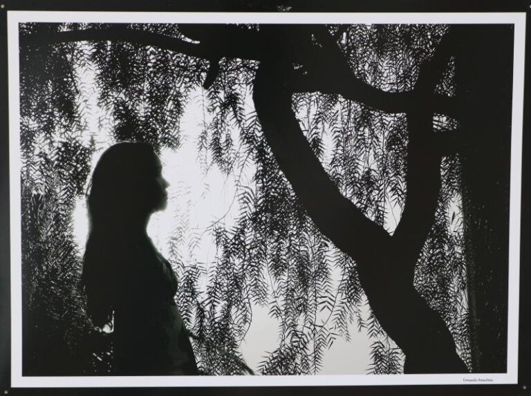 ‘Nativos’: exposição em Palmas reúne trabalhos do fotógrafo e indigenista Fernando Amazônia