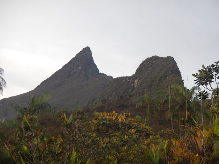 Uma aventura nas alturas: curiosidades e desafios do Pico da Neblina