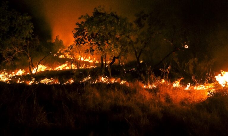Duas secas: como falta de chuvas e baixa umidade do solo agravam incêndios na Amazônia