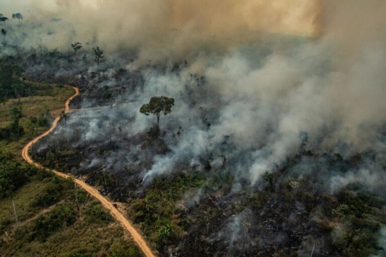 Amazônia registra maior área queimada desde o início do ‘Monitor do Fogo’