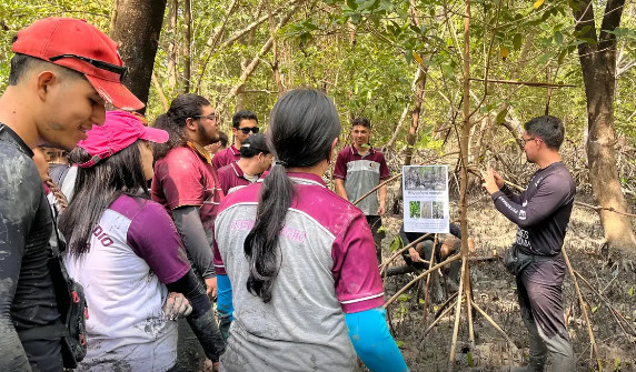 Educação ambiental aproxima estudantes do maior manguezal do planeta