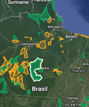 Saiba o que é a Terra do Meio e sua importância ambiental para a Amazônia 
