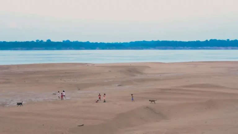 Mais da metade dos municípios da Amazônia passou 2024 inteiro em seca 