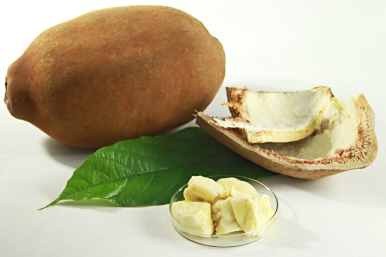 Frutos da Amazônia: tesouros naturais da região amazônica auxiliam na saúde