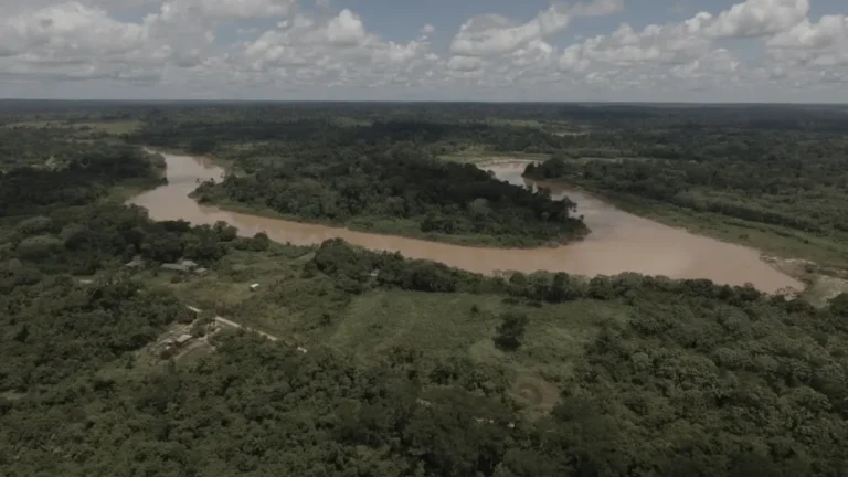 Com perda de 40% de mata ciliar em 55 anos, Rio Acre corre risco de colapso ambiental