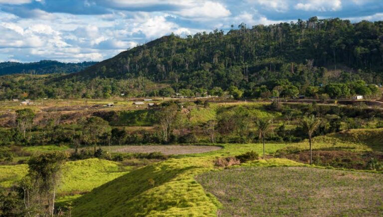 Saiba qual a importância cultural da Terra Indígena São Marcos em Roraima