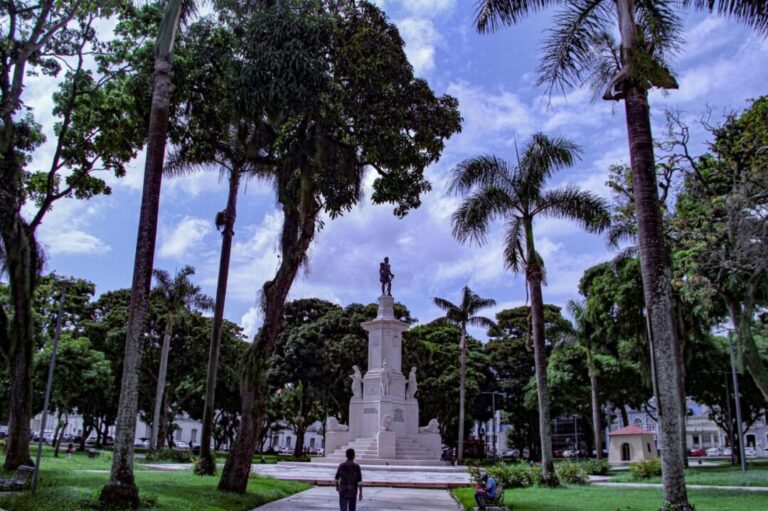 Manual técnico-científico propõe soluções para a arborização urbana na Amazônia