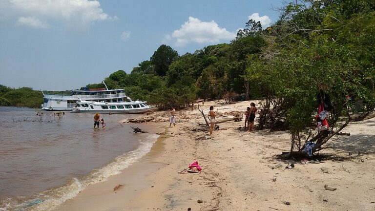 De bubuia: 5 praias para conhecer em Paricatuba