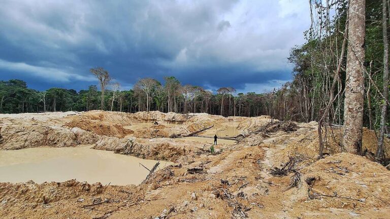 Greenpeace denuncia garimpo na Terra Indígena Sete de Setembro, em Rondônia