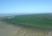 foz do amazonas na costa do amapá