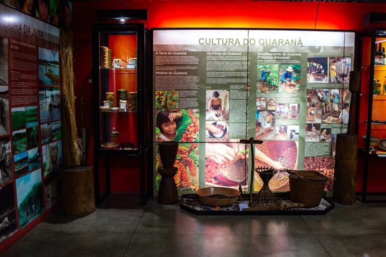 Museu do Homem do Norte, em Manaus, propõe imersão no cotidiano da população amazônica