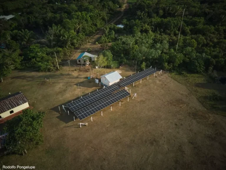 COP 30: soluções sustentáveis devem liderar agenda climática, dizem especialistas