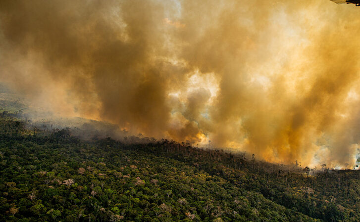 Suspensão de financiamento do governo americano já afeta projetos de conservação na Amazônia