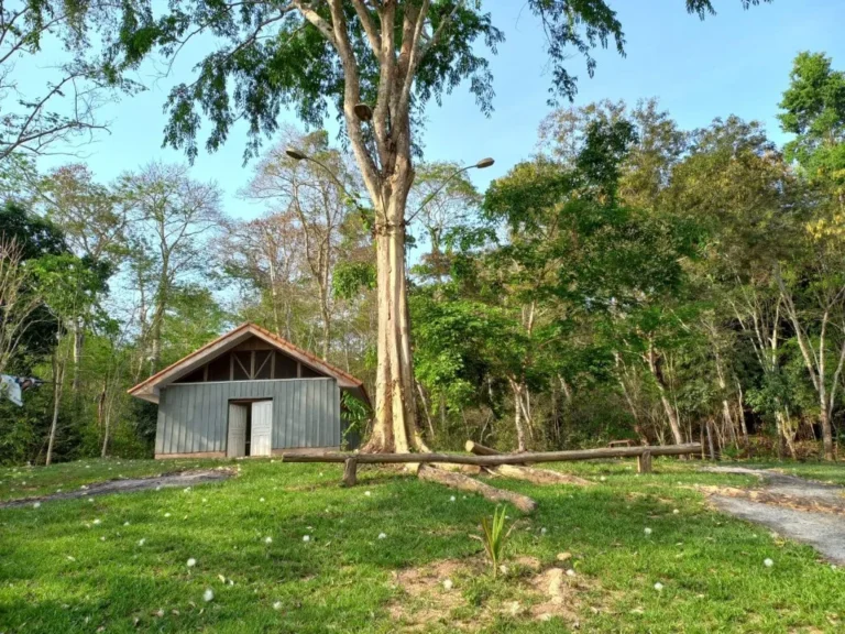 Paiter a Soe, o primeiro museu da Amazônia localizado dentro de uma aldeia