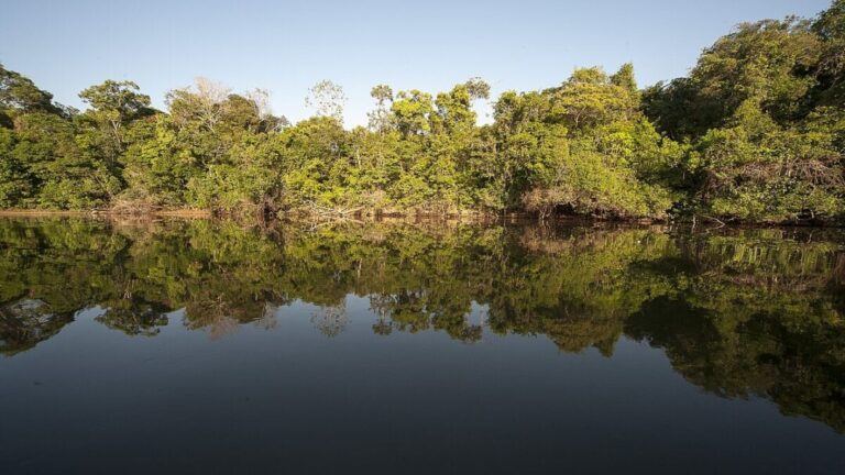 Propostas de redução das unidades de conservação brasileiras ameaçam compromisso com desmatamento zero