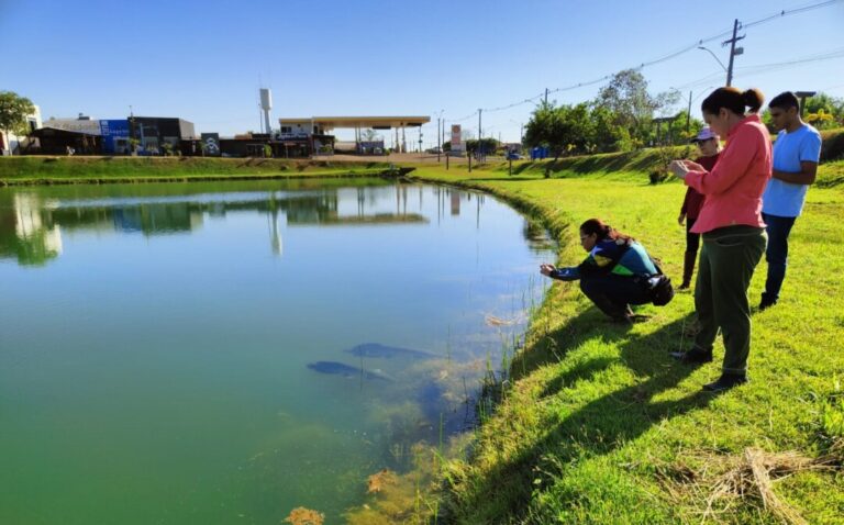 Aquicultura na Amazônia promove segurança alimentar com menos impacto que a pecuária