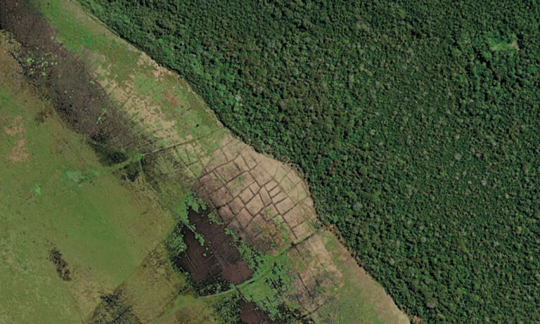 O grande milharal amazônico: o potencial dos sítios arqueológicos bolivianos