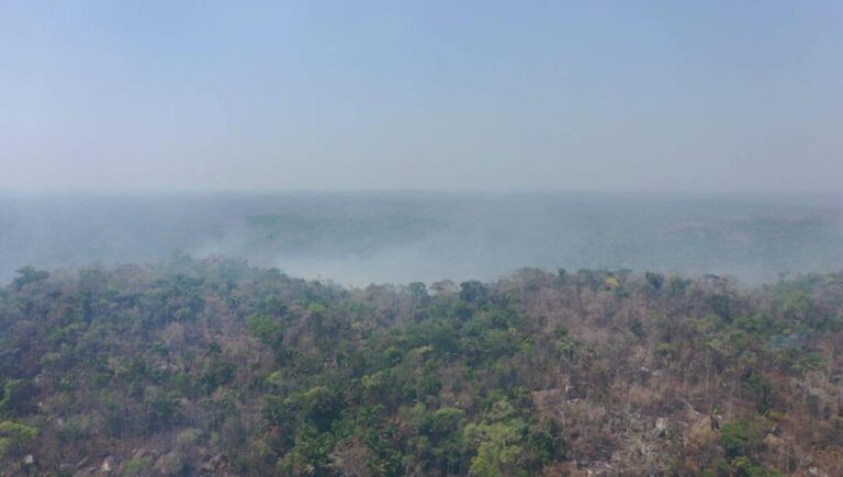 Queimadas: poluição por fumaça em comunidades Kayapó supera limite recomendado pela OMS em 800%