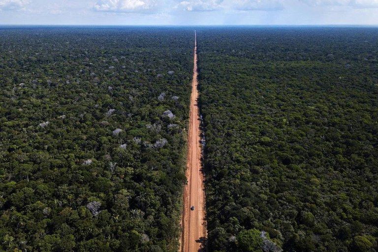 Estradas cortam ou se aproximam de 41% da área de floresta na Amazônia, mostra mapeamento inédito