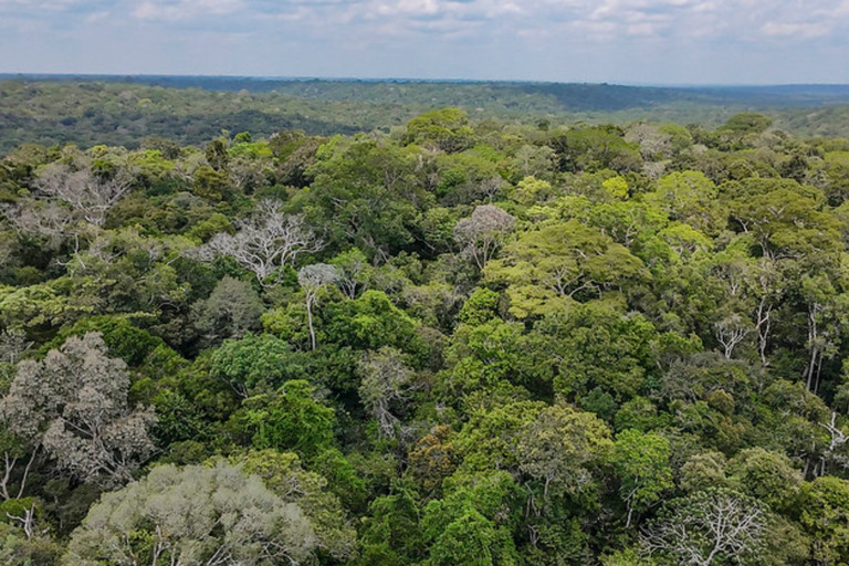 MCTI e CNPq abrem chamada de R$ 33,5 milhões para pesquisas na Amazônia Legal