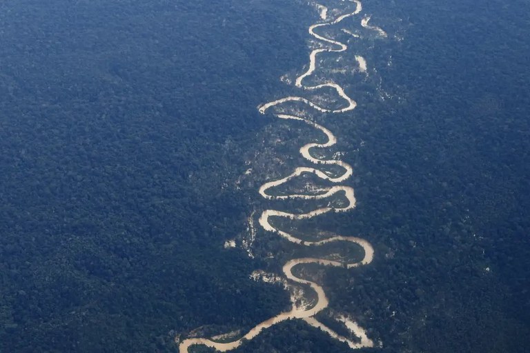 Desmatamento na Amazônia atinge menor índice da série histórica para fevereiro