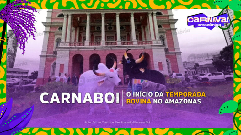 Carnaboi: o início da temporada bovina no Amazonas