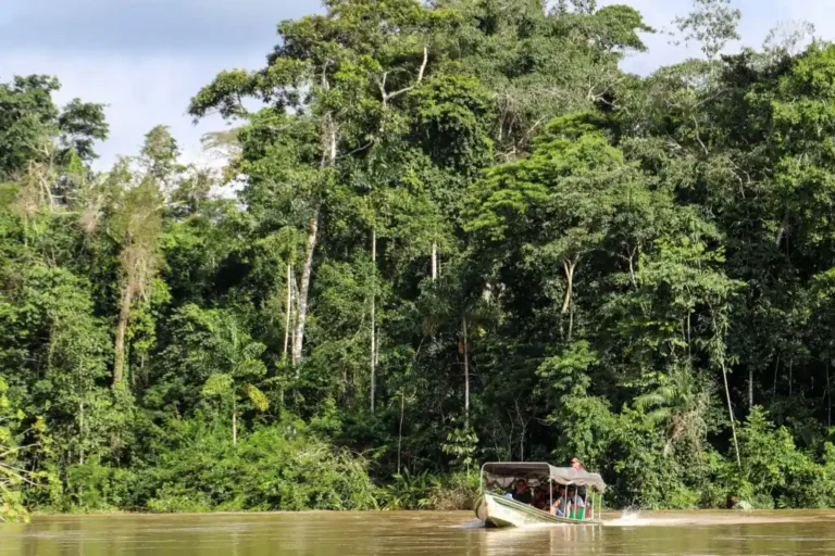 Amazônia perde área de UCs equivalente a 57 cidades de São Paulo devido a mudanças na legislação