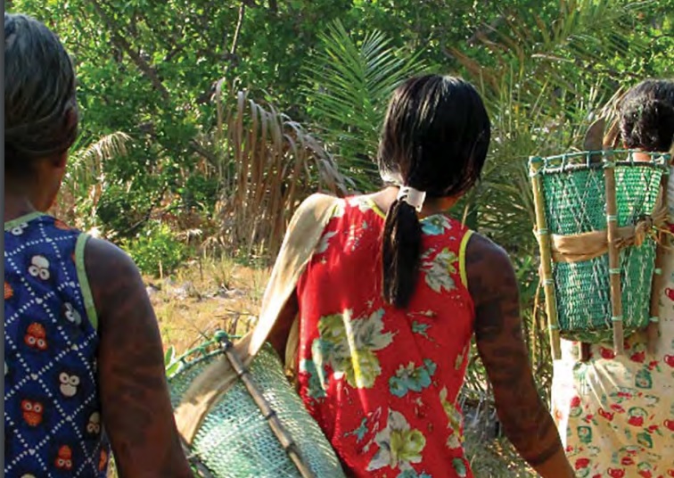 Livro colaborativo reúne conhecimentos e práticas Kayapó no uso de plantas medicinais