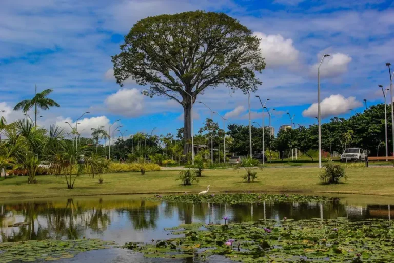 Levantamento mostra que Parque do Utinga está entre os 10 mais visitados do Brasil