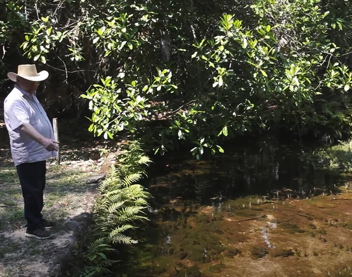 Como as mudanças climáticas afetam os peixes da Amazônia?