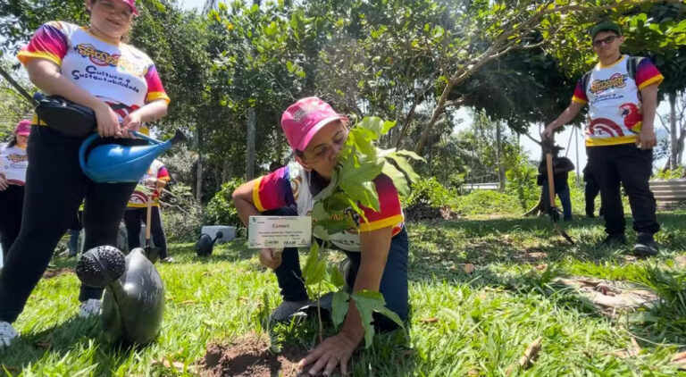 Carnaboi 2025: saiba quais ações educativas e socioambientais são realizadas durante a festa