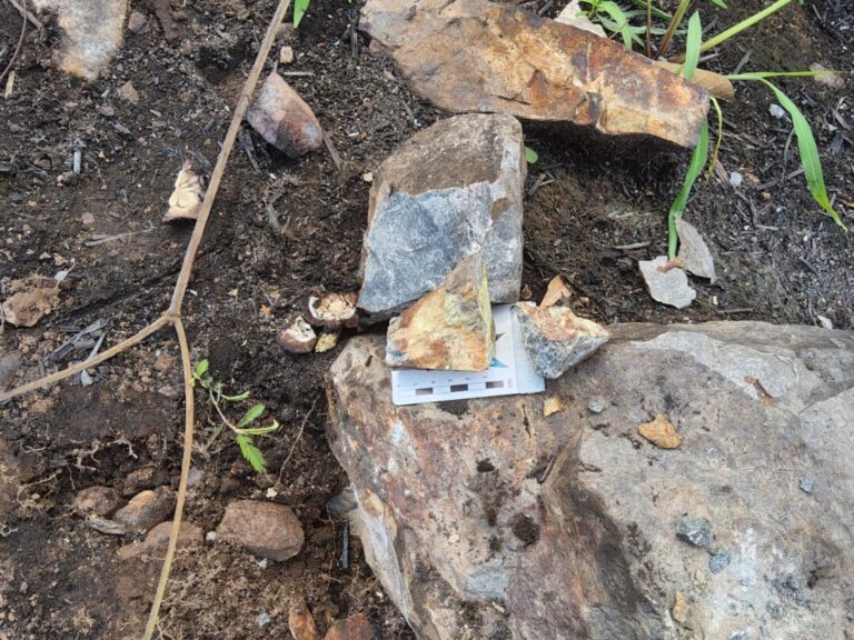 Novas ocorrências de urânio são identificadas no Pará